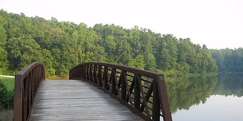 The Reedy Creek Wing Trail