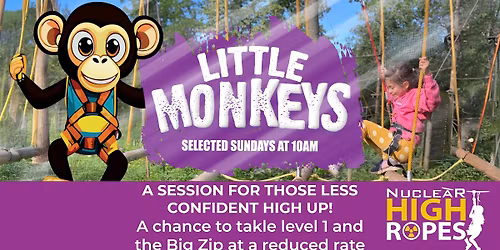 High Ropes Little Monkeys