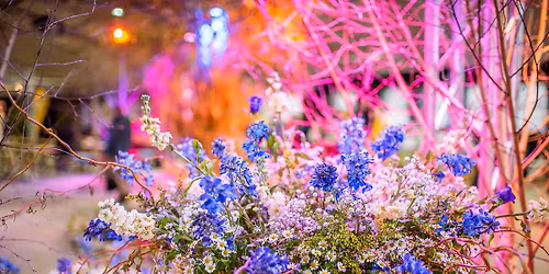 FlorExpo 2026 se letos konat nebude. P\u0159ipravujeme novou podobu akce.