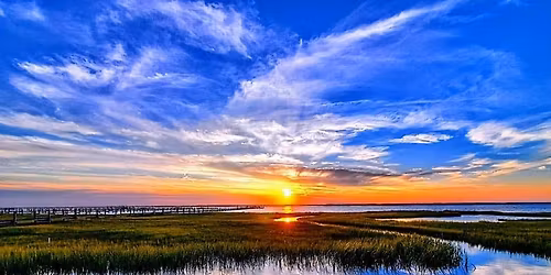 The Crim Dell Quartet