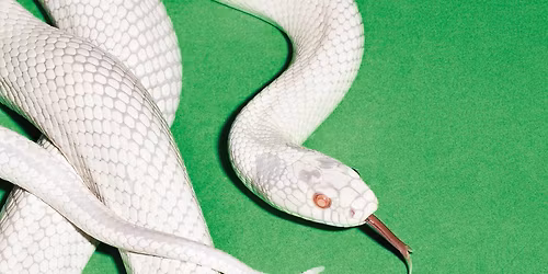 Deftones Mexico City Tickets