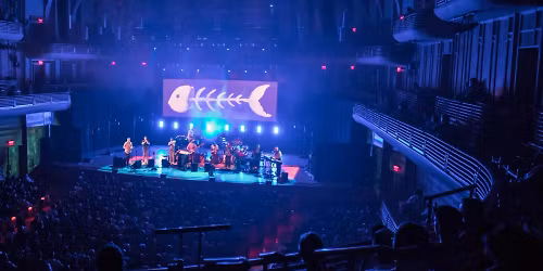 Snarky Puppy in Hamburg