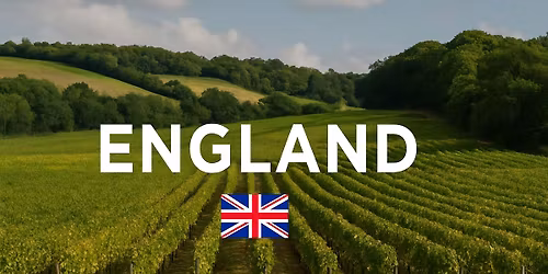 "Keep Calm & Drink Bubbles"