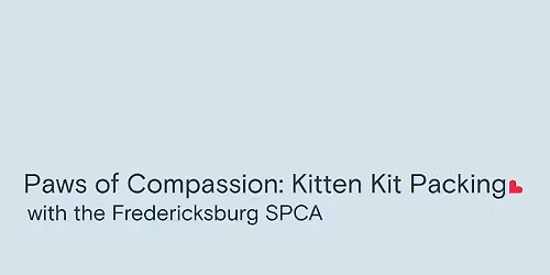 Paws of Compassion: Kitten Kit Packing