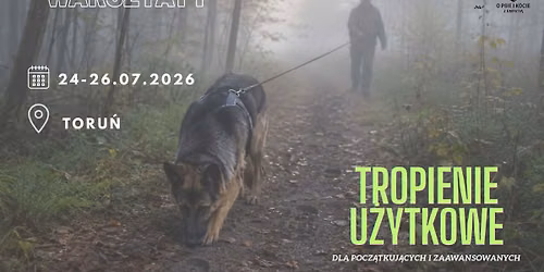 WARSZTATY TROPIENIA U\u017bYTKOWEGO w TORUNIU