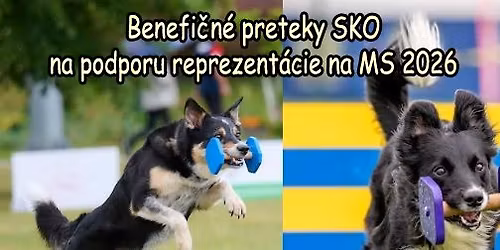 Benefi\u010dn\u00e9 no\u010dn\u00e9 preteky SKO