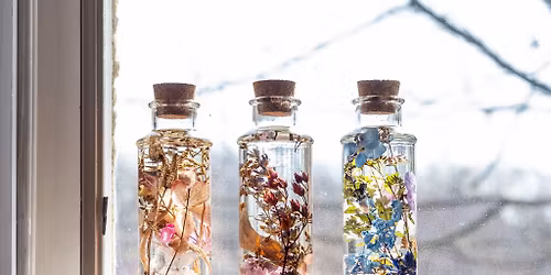 Women of Wildwood: JAPANESE HERBARIUMS