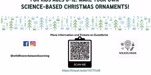 Holiday Science Ornaments Workshop for Kids