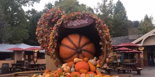 \ud83c\udfa2 A Day at Dollywood Weekend Getaway in Gatlinburg \ud83c\udf1f Just $249 Per Couple