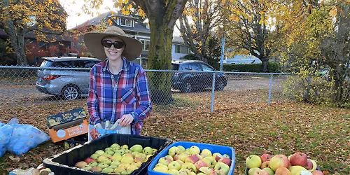 Apple Pressing in Alexander Park