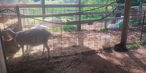 Anderson Family Farmstead @ Elk River Indoor Market