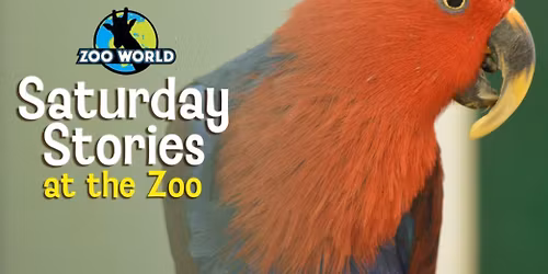 Saturday Stories at the Zoo!