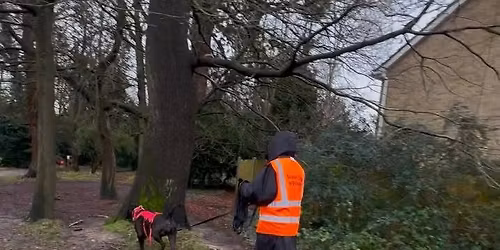 Mantrailing Foundations Horley