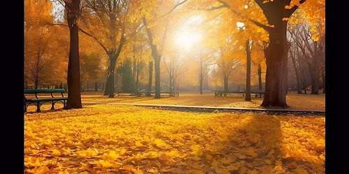Boston Fall Festivals and Events