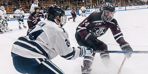 Colgate Raiders at Union College Garnet Chargers Mens Hockey at M and T Bank Center Schenectady
