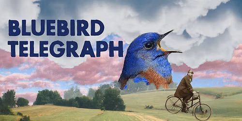 Bluebird Telegraph