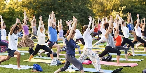 Serenity Sundays- Skyline Fusion