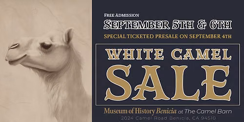 White Camel Sale 2026