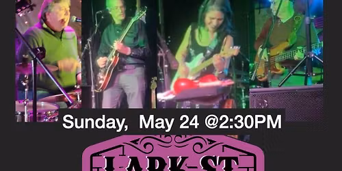 Joanne's Driving The Bus at the Lark St Tavern in Albany