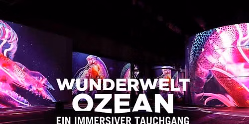 Wunderwelt Ozean - Ein immersiver Tauchgang