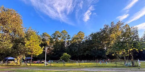 Morningstar's Clever K9s UKI Agility Trial - April 2026