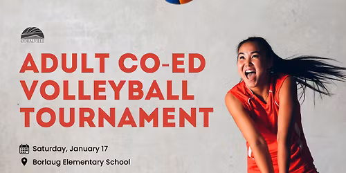 Adult Co-ed Volleyball Tournament