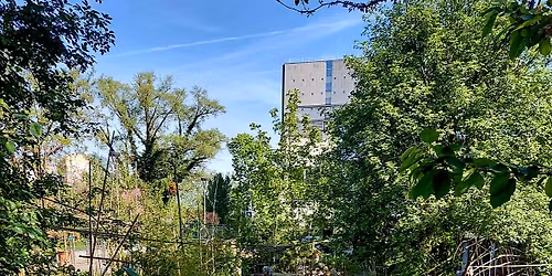 D\u00e9couverte des plantes sauvages \u00e0 la Gare eXP\u00e9rimentale (Paris 19\u00e8me)