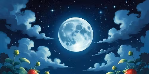 Monthly Full Moon Meditation w\/ Lynn (Strawberry Moon)