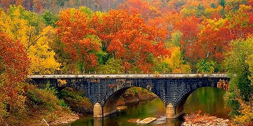 The Martinsburg Apollo Film Festival