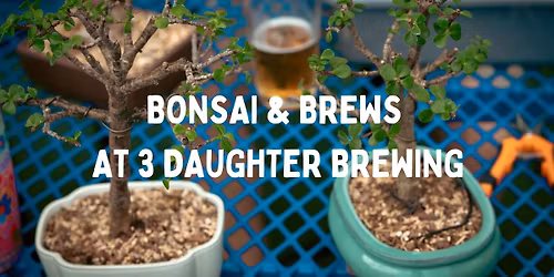 Bonsai & Brews at 3 Daughters Brewing | St. Pete