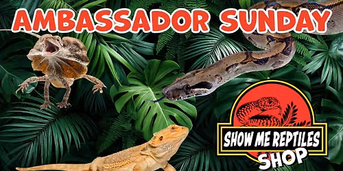 Ambassador Sunday