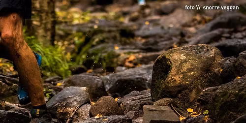 \u00d8stmarka Trail Challenge \u2013 Flyktningeruta 2026