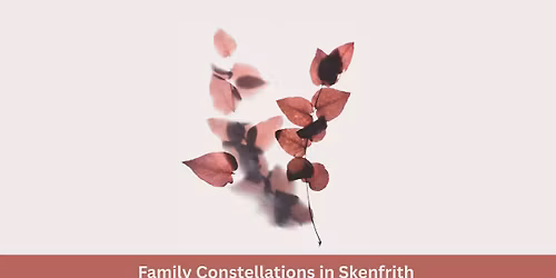 Family and Systemic Constellations Workshop
