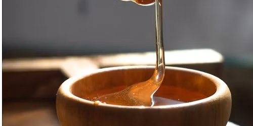 The Magic & Medicine of Honey