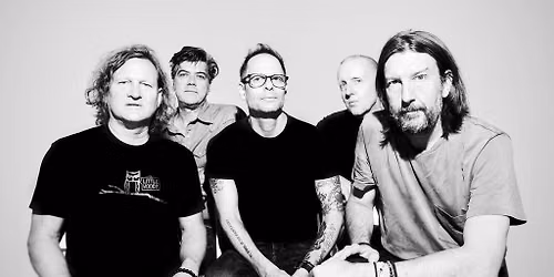 Gin Blossoms