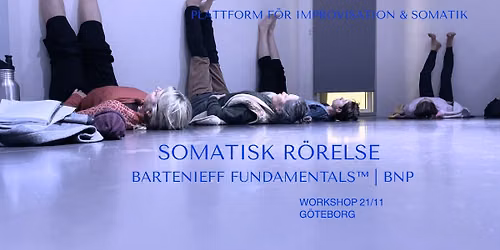 Somatisk r\u00f6relse | Bartenieff fundamentals\u2122 & BNP