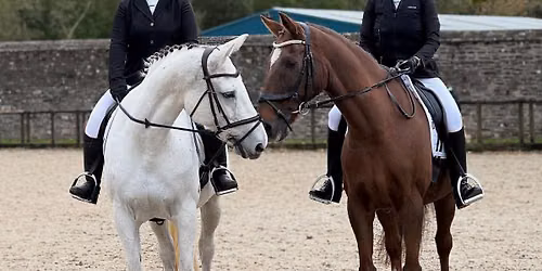 Dressage at Home and International Residential Camp