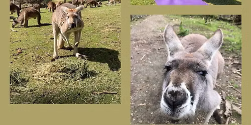 YOGA, WELLNESS & WILDLIFE EXPERIENCE with ZOOKEEPER ZAB