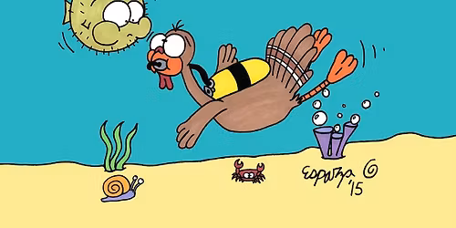 Turkey Hunt Fun Dive