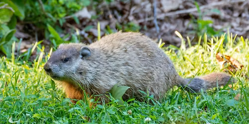 Celebrate the Season (2\/2)