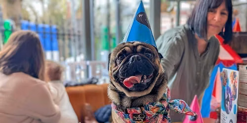Newcastle - Pug Pup Up Cafe \ud83d\udc9e