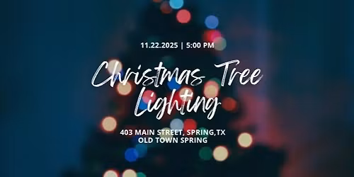 Christmas Tree Lighting ~ Old Town Spring