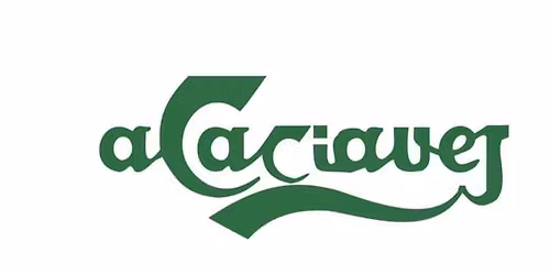 Musikbingo\ud83c\udfb5