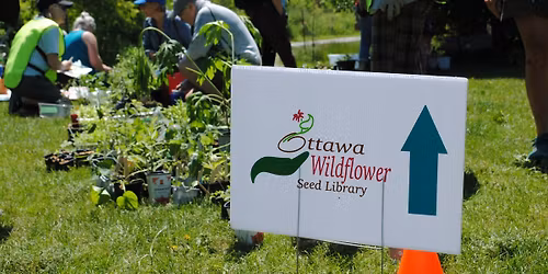 Native Plant Giveaway