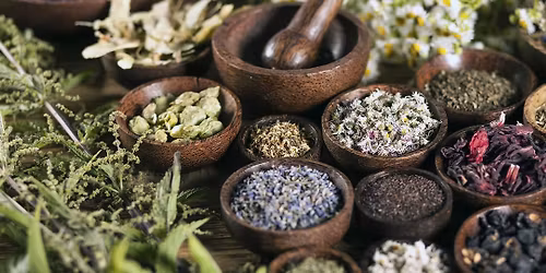 Plant Medicine with Heather Duff