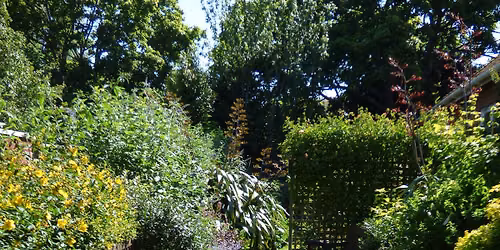 National Garden Scheme Open Day