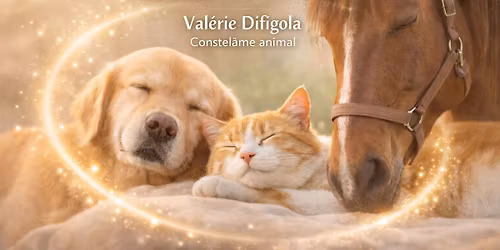 Initiation \u00e9nerg\u00e9tique et bien \u00eatre animaux