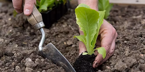 Beginner Garden Workshop with Farmer Jeff 2.28