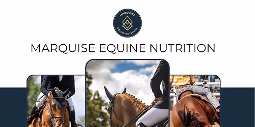 Performance Horse Nutrition