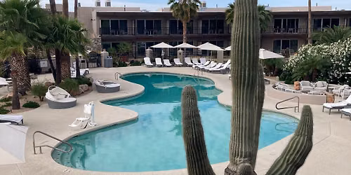 MINDSET SOCIAL: Mindful Affinity Trip (Phoenix Area)